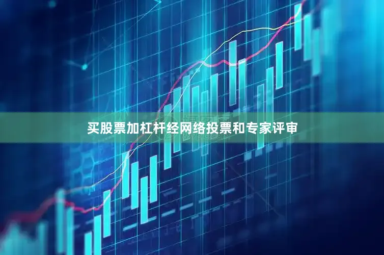 买股票加杠杆经网络投票和专家评审