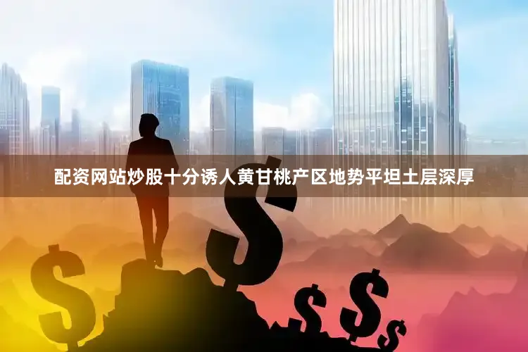 配资网站炒股十分诱人黄甘桃产区地势平坦土层深厚