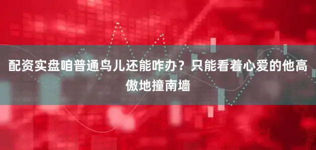 配资实盘咱普通鸟儿还能咋办？只能看着心爱的他高傲地撞南墙