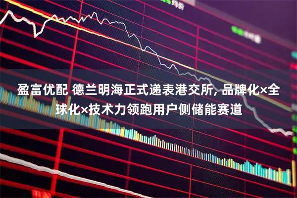 盈富优配 德兰明海正式递表港交所, 品牌化×全球化×技术力领跑用户侧储能赛道